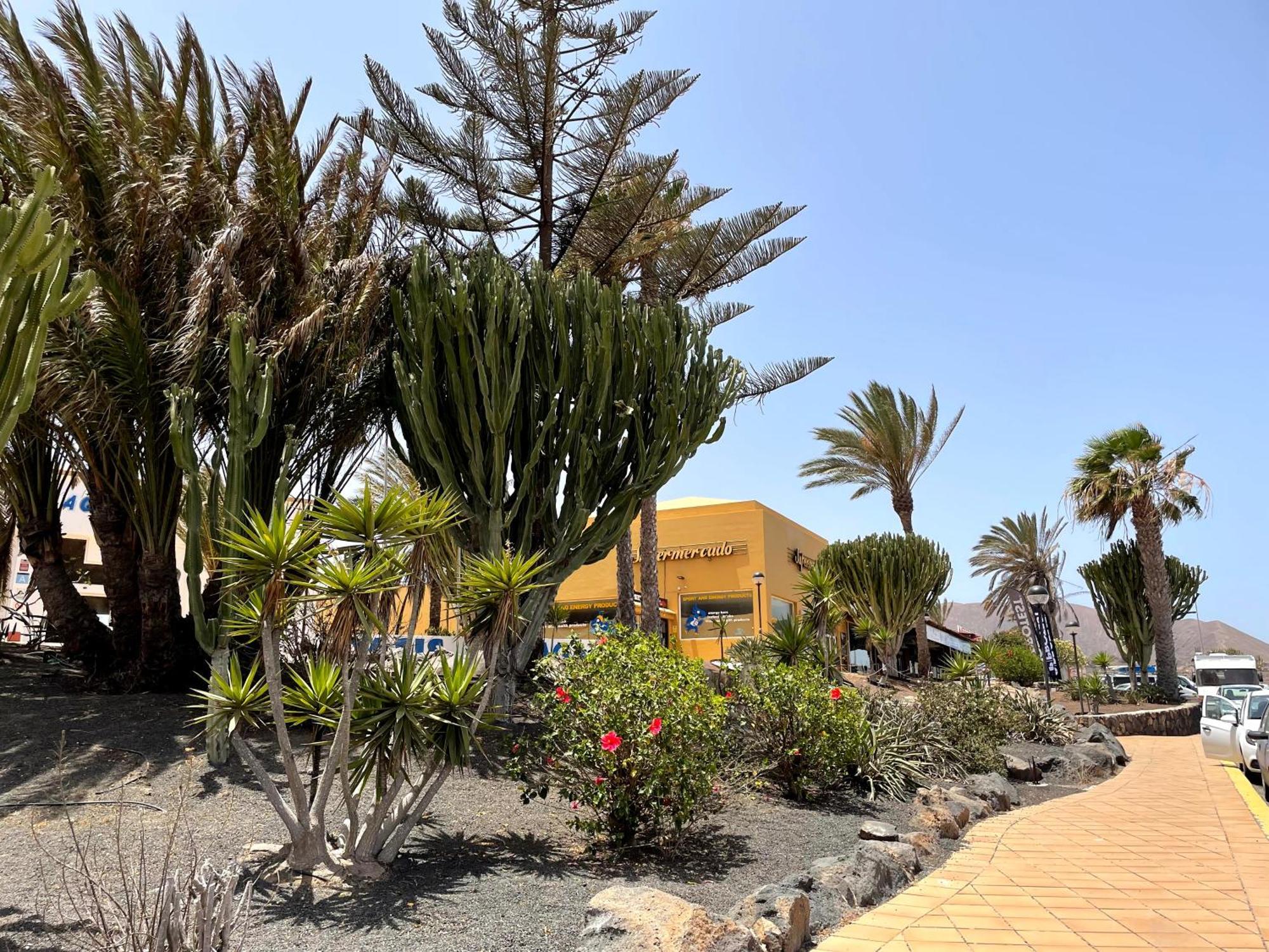 Casa Relax Papagayo Corralejo Irent Fuerteventuraアパートメント エクステリア 写真